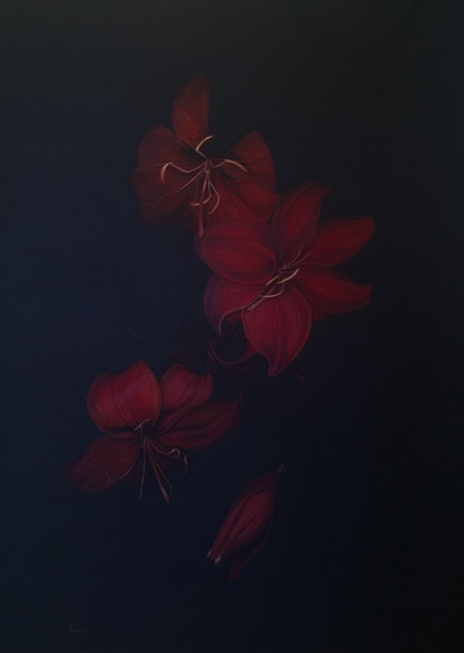 image-3